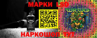 СК Гагарин