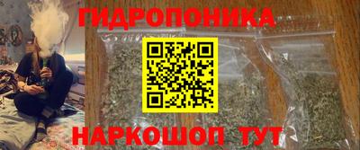 СК Гагарин