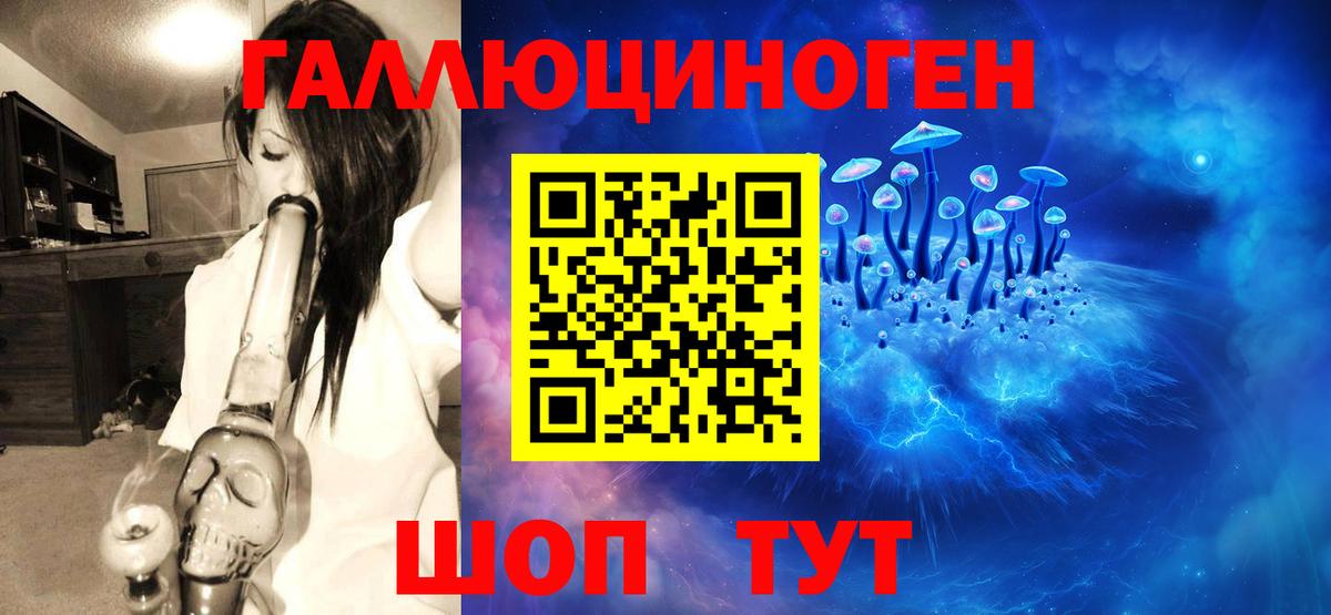 Псилоцибиновые грибы мицелий Заинск
