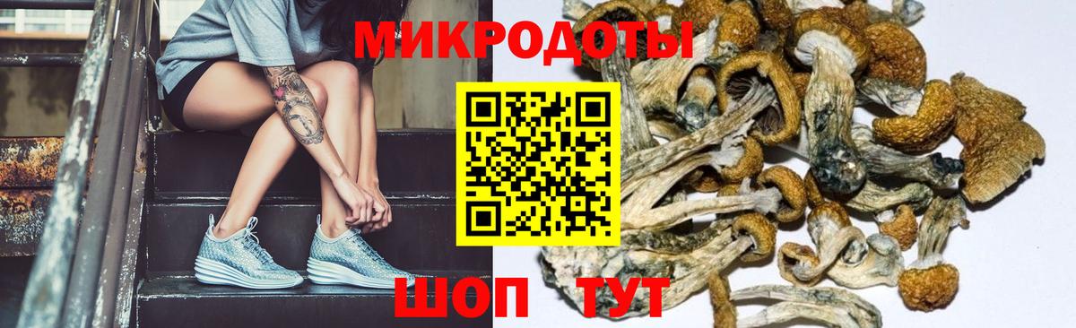 Заинск  Псилоцибиновые грибы Psilocybe  что такое   Галлюциногенные грибы Psilocybe  Вход с VPN 